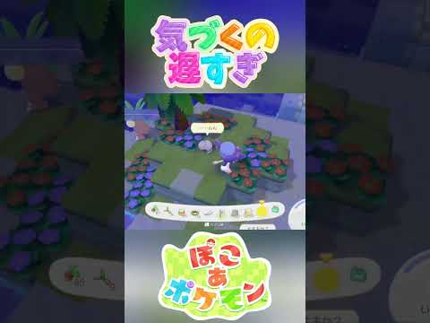 気づいてないの私だけだったw 【ぽこ あ ポケモン】 #Shorts #ゲーム実況 #ポケモン #Pokemon #ぽこあポケモン #nintendoswitch