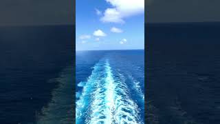 Wake view is the best view #ocean #msccruises