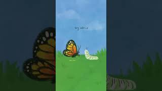 bug advice 🦋🐛
