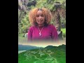 የኢኮኖሚ ምሰሶው ቱሪዝም