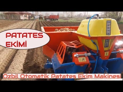 Video: Ekim Yöntemleri Dahil Olmak üzere Hollanda Teknolojisini Kullanarak Patates Yetiştirme