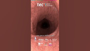 تشريح الفرج في طب النساء التجميلي والوظيفي ❘ TECH Global University