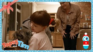 Topsy And Tim In French  Merry Christmas  Wildbrain Kids  Episode Compilation
