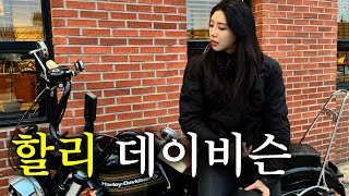 바이크 기변했어요! 😆 근데..기추 하고싶네 | 여성라이더 | 할리데이비슨 포티에잇 스페셜