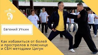 Как избавиться от болей и прострелов в пояснице методами цигун. Отзыв Е. Уткина Как избавиться от болей и прострелов в пояснице методами цигун. Отзыв Е. Уткина