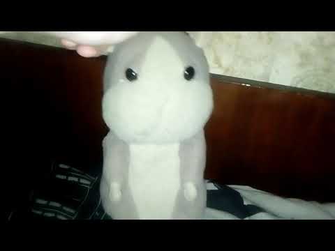 hamster спят усталые игрушки