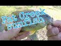 YOU WON'T BELIEVE WHAT HAPPENED!!! Caught some fat sunfish and then my target species at the end.