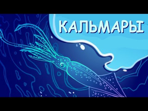 Кальмары: монстры из глубин | Познавательное видео про кальмаров | Удивительный мир беспозвоночных