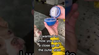 Stop your dog from getting bored instantly. #dogtoy  #dogcare #amazonfinds #cat #bestpetsupplies