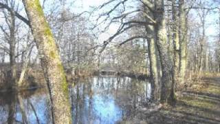 Dan Seals - Why This River Runs (2002) chords