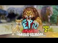 The epic animals famiglie selvagge serie 2