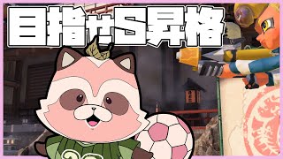 【Splatoon3】昨シーズンほぼ丸でブランク作ってしまった【エリア/ヒラメ・クサヤ】