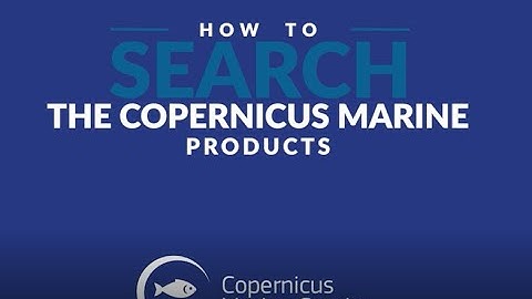 How to search the Copernicus Marine Products