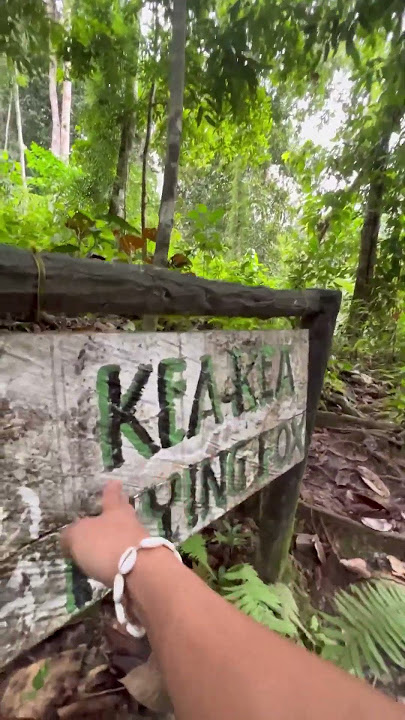 Abandoned villa in the forest