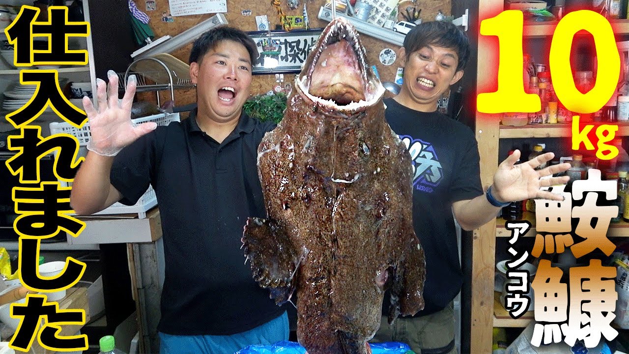 骨と腸以外は食べられる？！巨大アンコウを入手したので料理します！！
