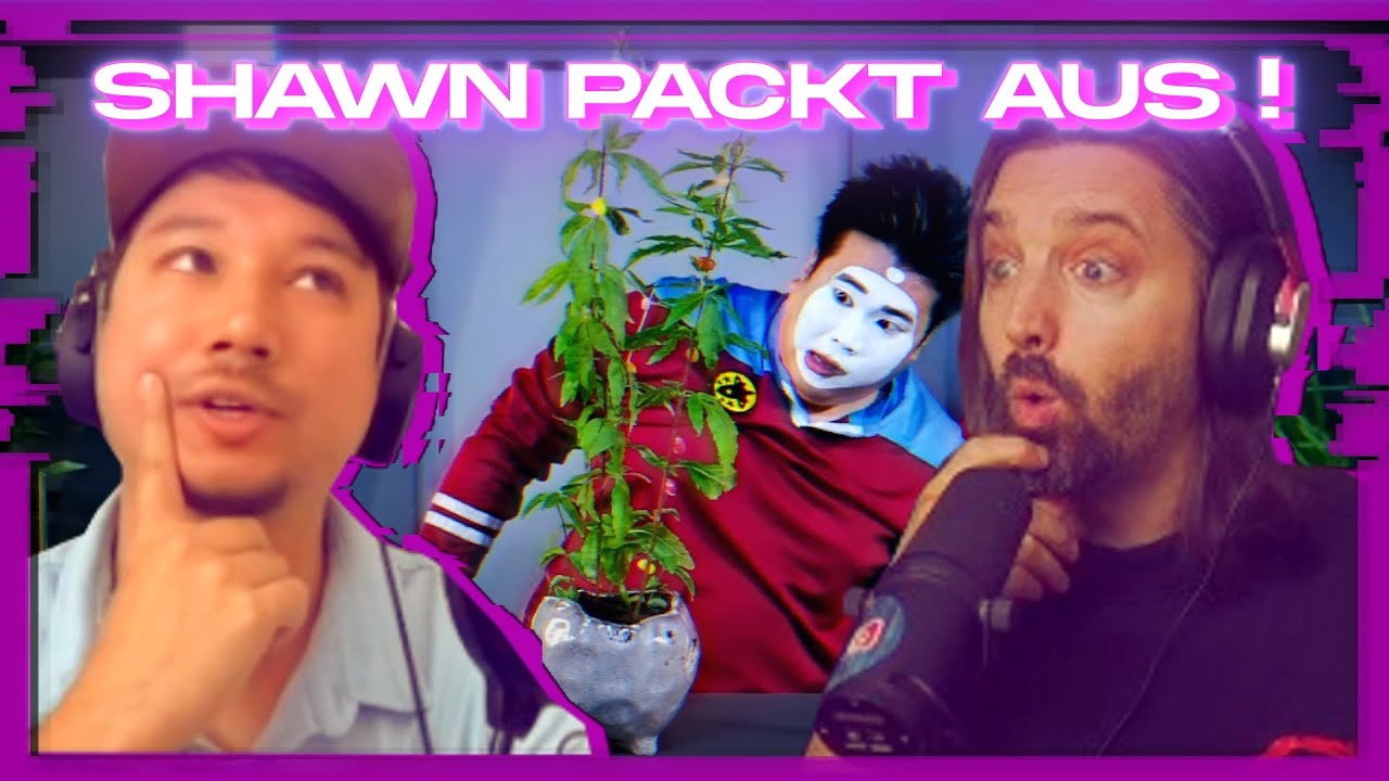 Mann im Mond REGISSEUR beantwortet ALLES zu Akt 1 | Filmemacher interviewt Shawn Bu