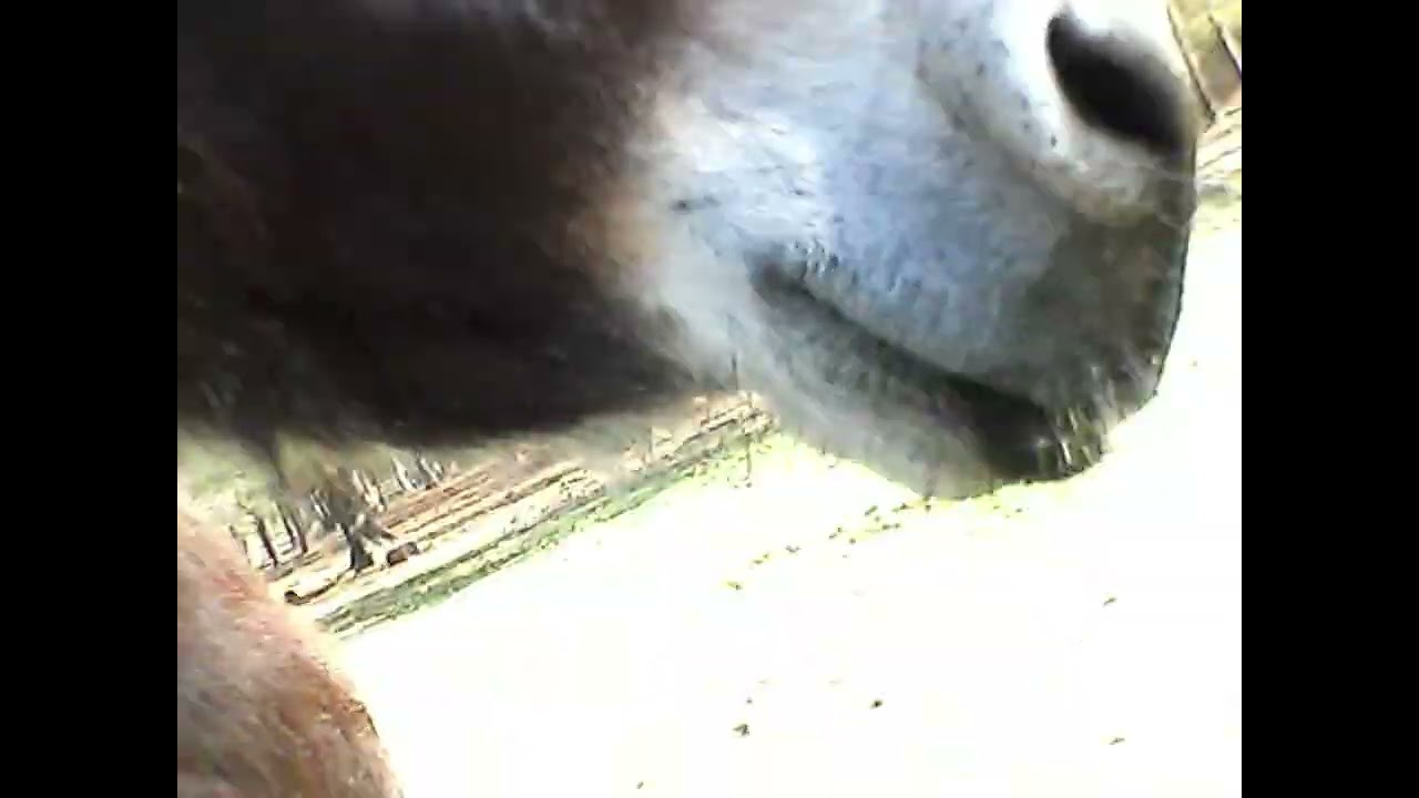 2026 1 3 Trip to the property 1b