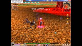 Bug DT