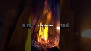#reddit #diy #woodworking #satisfing #machine