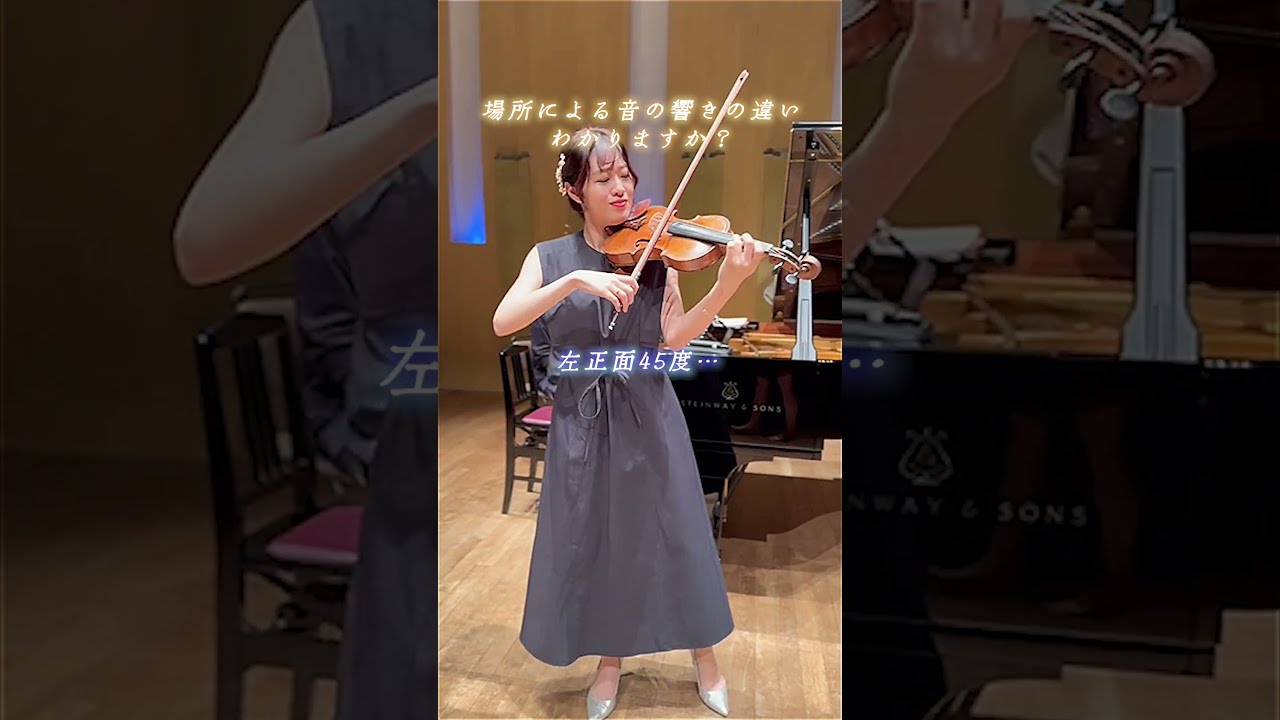 ヴァイオリングリースSilk 音の違いがわかる弦楽器奏者のかたへ