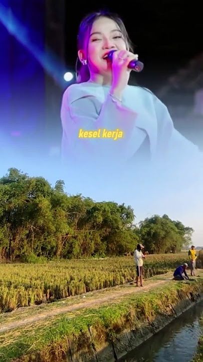 Kesel Kerjo #storywa #kerjakeras #kerja #stroywaindonesia #tiktok #storyig #masukberanda