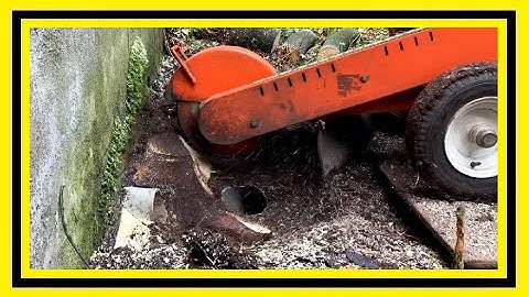 SEWER MILLED DURING TREE STUMP REMOVAL WITH STUMP GREASER