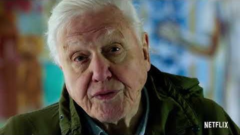 David Attenborough: A Life on Our Planet | Official Trailer | Netflix