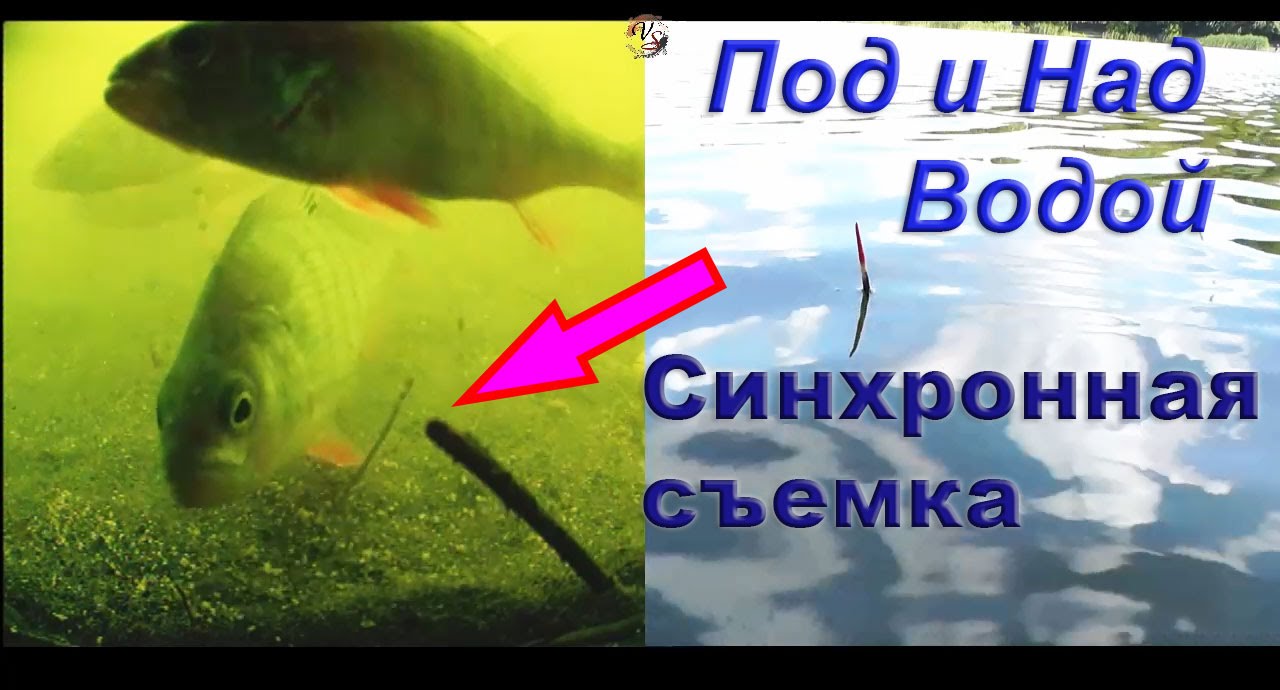 ПОКЛЕВКИ на удочку с боковым кивком и поплавочную удочку. Синхронная съемка под и над водой. Рыбалка