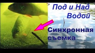 Ловил на летнюю удочку с боковым кивком и поплавочную удочку. съемка с двух камер. Ловля на поплавок(ПОКЛЕВКИ на удочку с боковым кивком и поплавочную удочку. Синхронная съемка под и над водой. Рыбалка.….((Мой..., 2016-05-23T10:45:02.000Z)