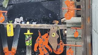 Tiny targets #6