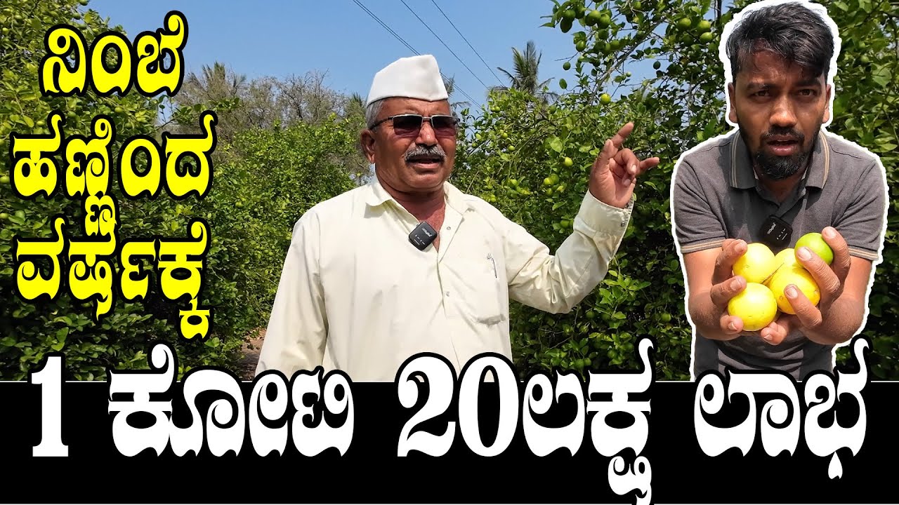 ನಿಂಬೆಯಿಂದ ವರ್ಷಕ್ಕೆ ಕೋಟಿ ಕೋಟಿ ಬಂದ್ರು ಅದು ಭೂಮಿಗೆ ನಂಗಲ್ಲ | Lemon marketing