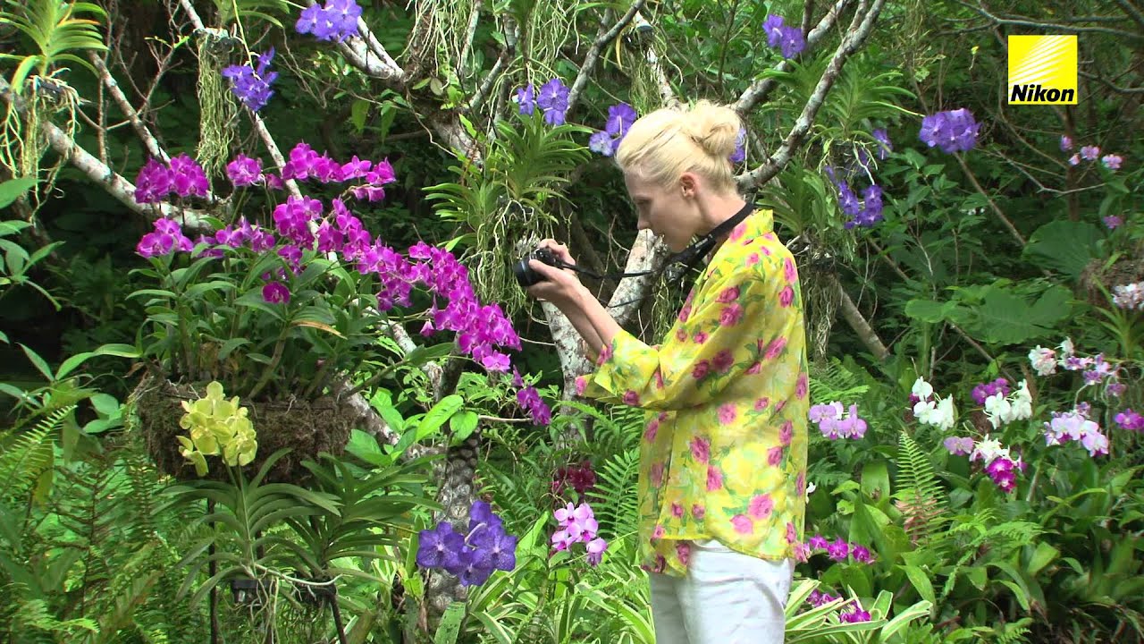 Photography for beginners - Easy flower close-ups (Nikon 1 tips & tricks)