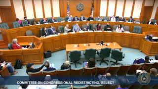🚩🚩 RED FLAG 🚩 Texas House Republicans Abruptly End First Redistricting Hearing Only 1/2 Testified
