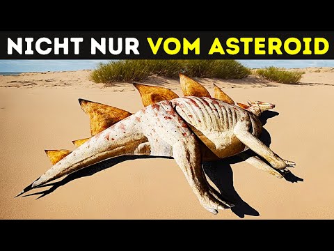 Video: Waren Haie schon vor Dinosauriern hier?