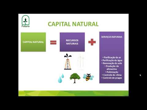 Vídeo: Quais são alguns dos elementos-chave do capital natural?