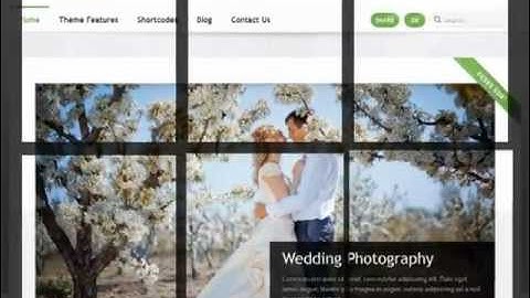 Theme Forest Wordpress Themes - A Video Showcase