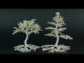 A slideshow of handmade bead and wire trees by Twysted Roots