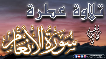 تلاوة عطرة من سورة الأنعام