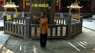 Traditional Shaolin kungfu - Shaolin India