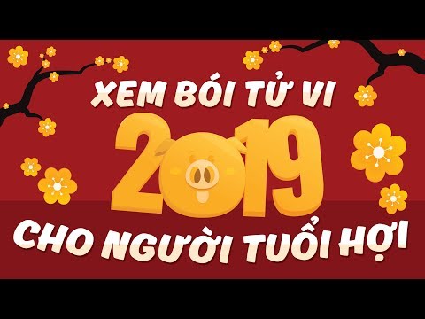 Video XEM BÓI TỬ VI TUỔI HỢI NĂM KỶ HỢI 2019 NAM MẠNG VÀ NỮ... - youtube