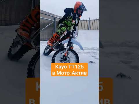 Kayo TT125 в мотосалоне Мото-Актив #мото #зима #кросс #первыйпитбайк #kayo