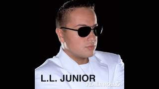 Video thumbnail of "L.L. Junior - Van nekem egy anyósom ("Fehér holló" album)"