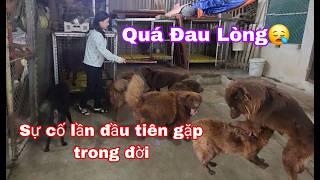 Sự cố đau lòng lần đầu tiên vấc phải sau bao nhiêu năm trong nghề mọi người ạ thật sự em rất buồn