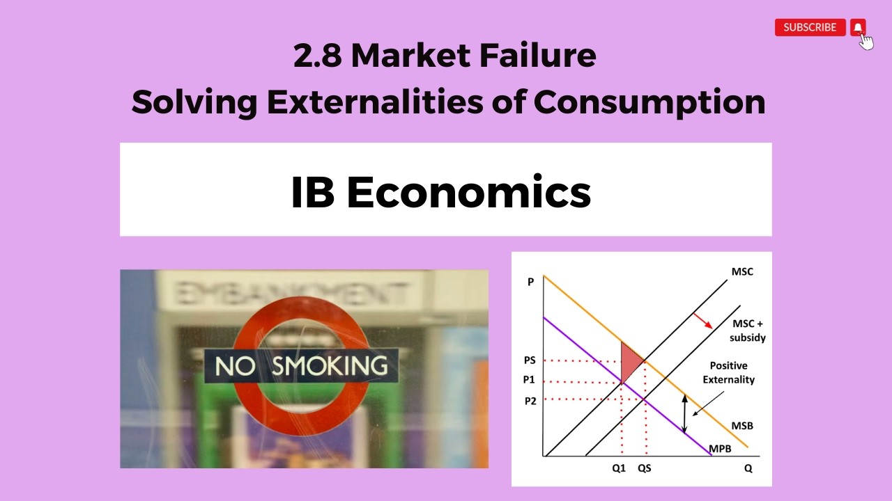 2.8 - Solving Externalities of Consumption - IB Economics - YouTube