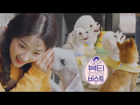 [1차 티저] 당신의 마음을 녹일, 뷰티와 비스트가 찾아갑니다!ㅣ뷰티 앤 더 비스트(beast)ㅣSBS ENTER.