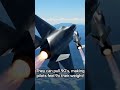 #aviation #military #fighterjet #airforce #jets#fighterjets#trending #viral #aircraft #aviationfacts