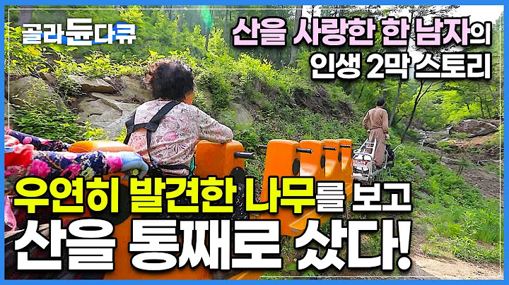 외국에서 더 알아주는 귀한 토종 나무가 지천에 깔린 걸 보고 20만 평 거대한 산을 통째로 사버린 남자의 통 큰 인생 스토리│산을 사랑한 모리산, 그 사나이│한국기행│#골라듄다큐