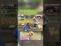 うちの犬にすら気づかないなんて！「自分の飼い犬」#水曜日のダウンタウン#検証動画#検証#説検証#浜田雅功#松本人志 #shortsvideo #funny #お笑い#面白集#面白い#神回
