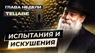 Как выстоять все испытания и искушения? Почему они нужны, правильный настрой и знаки от Всевышнего