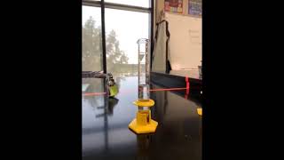 Penny Density Lab